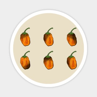 Habanero Chilli Pepper Sticker Spicy Hot Jalapeno Carolina Reaper Magnet